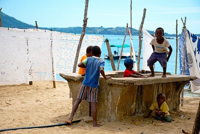 logo presence madagascar
